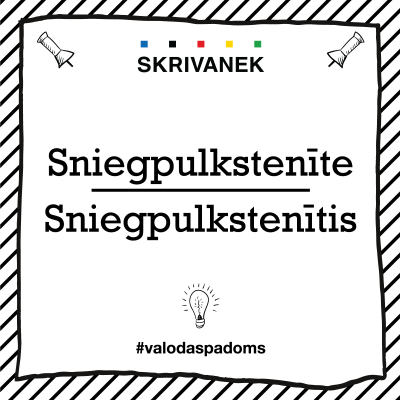 Latviešu valodas padoms, "sniegpulkstenīte" pret "sniegpulkstenītis"